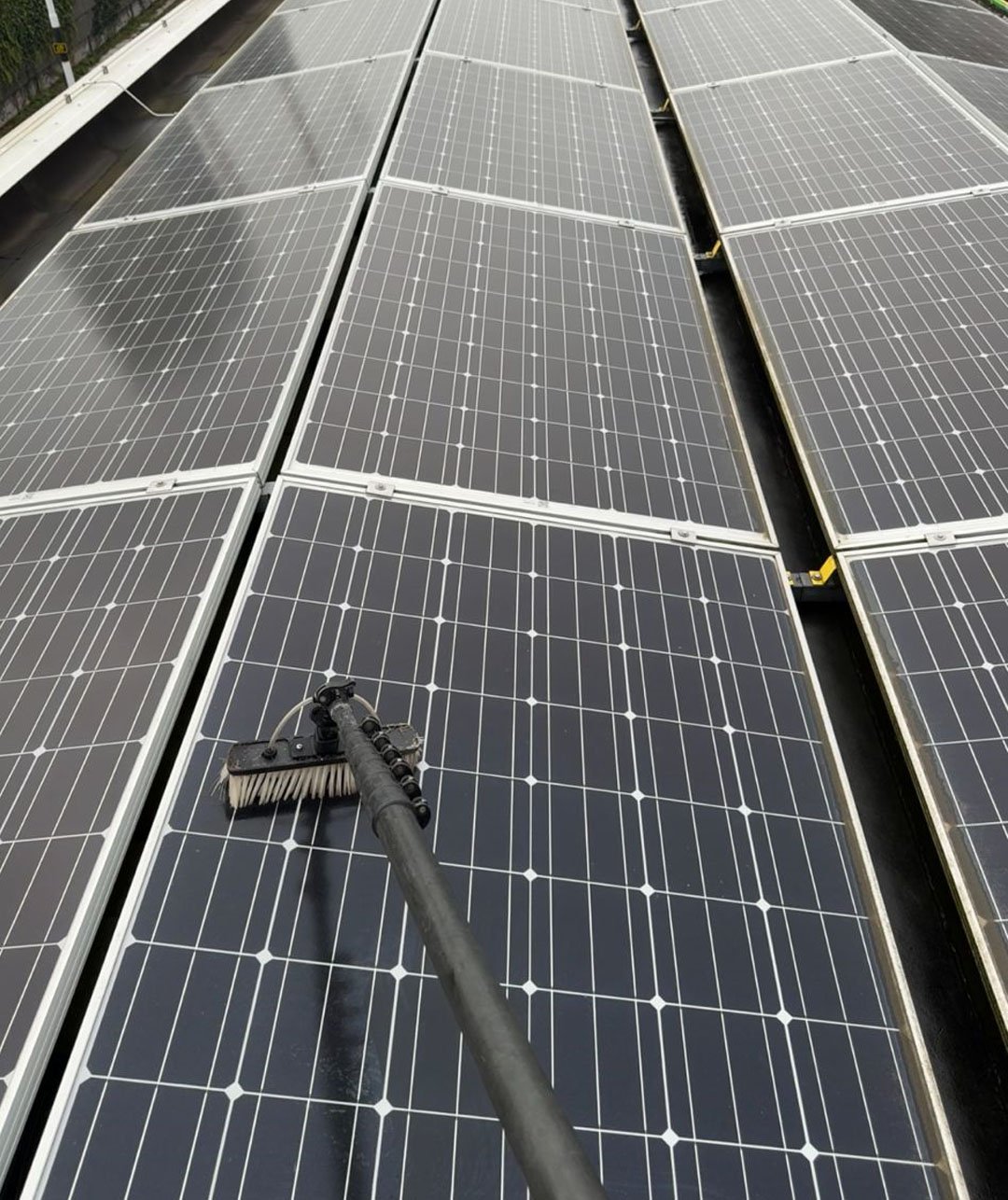 Nick van der Zwet Schoonmaak_0001_Laag 19